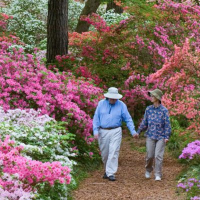 CALLAWAY GARDENS