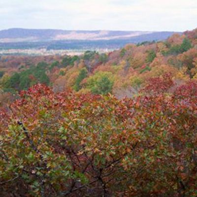 PINE MOUNTAIN HIKING